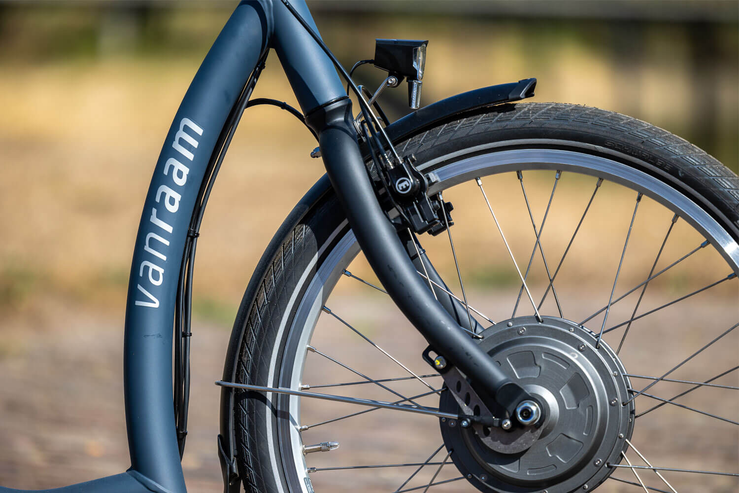 Vanraam Balance Tiefeinsteiger eBike  