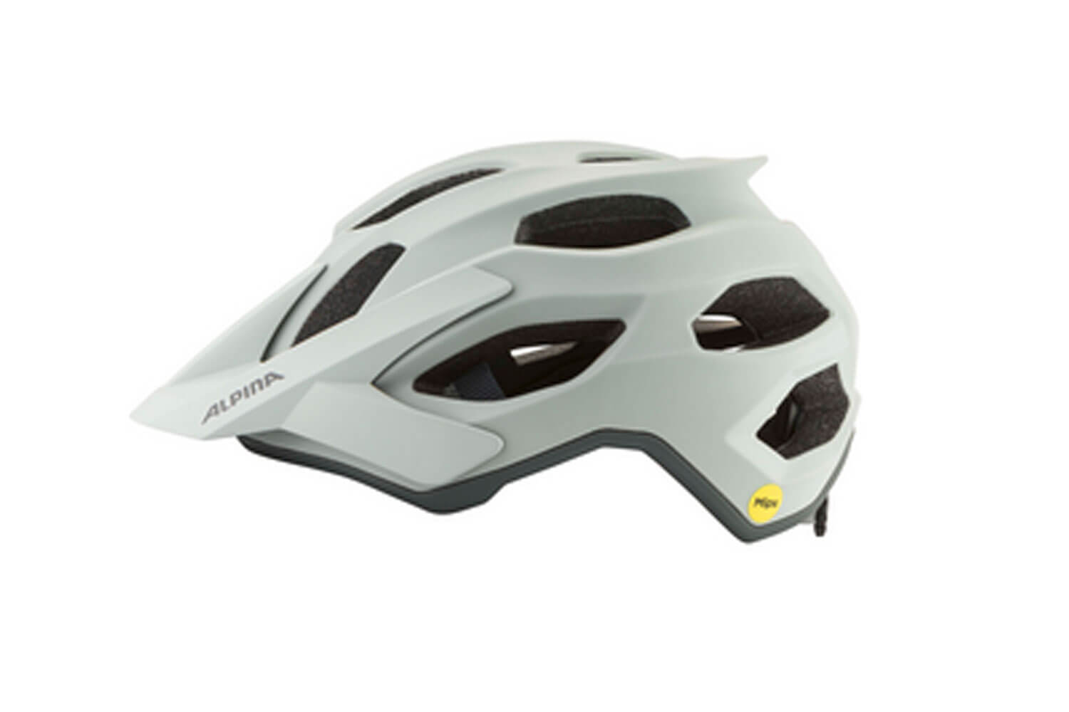 Alpina APAX MIPS Helm  