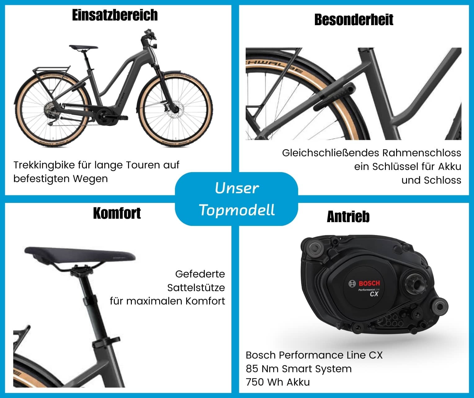 Flyer Gotour 7.12 XC Mixed  