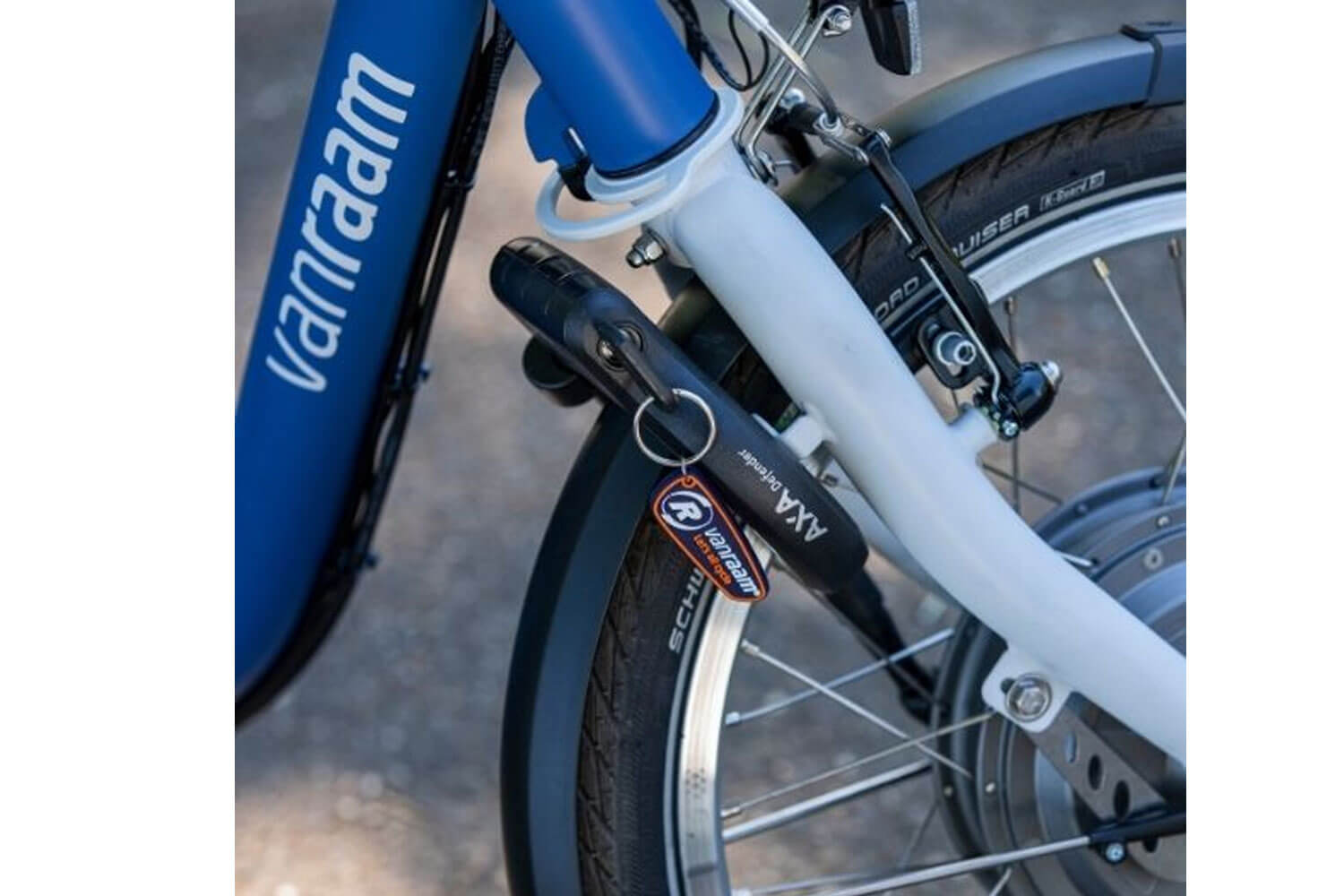 Vanraam Midi E-Bike Dreirad  