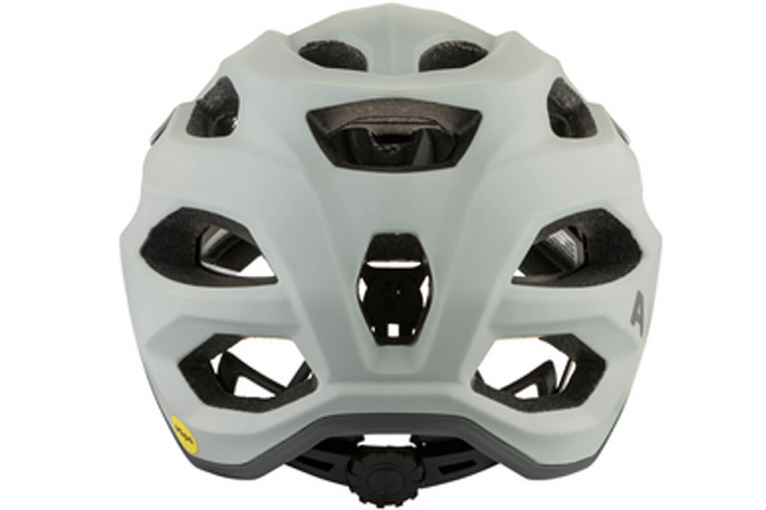 Alpina APAX MIPS Helm  