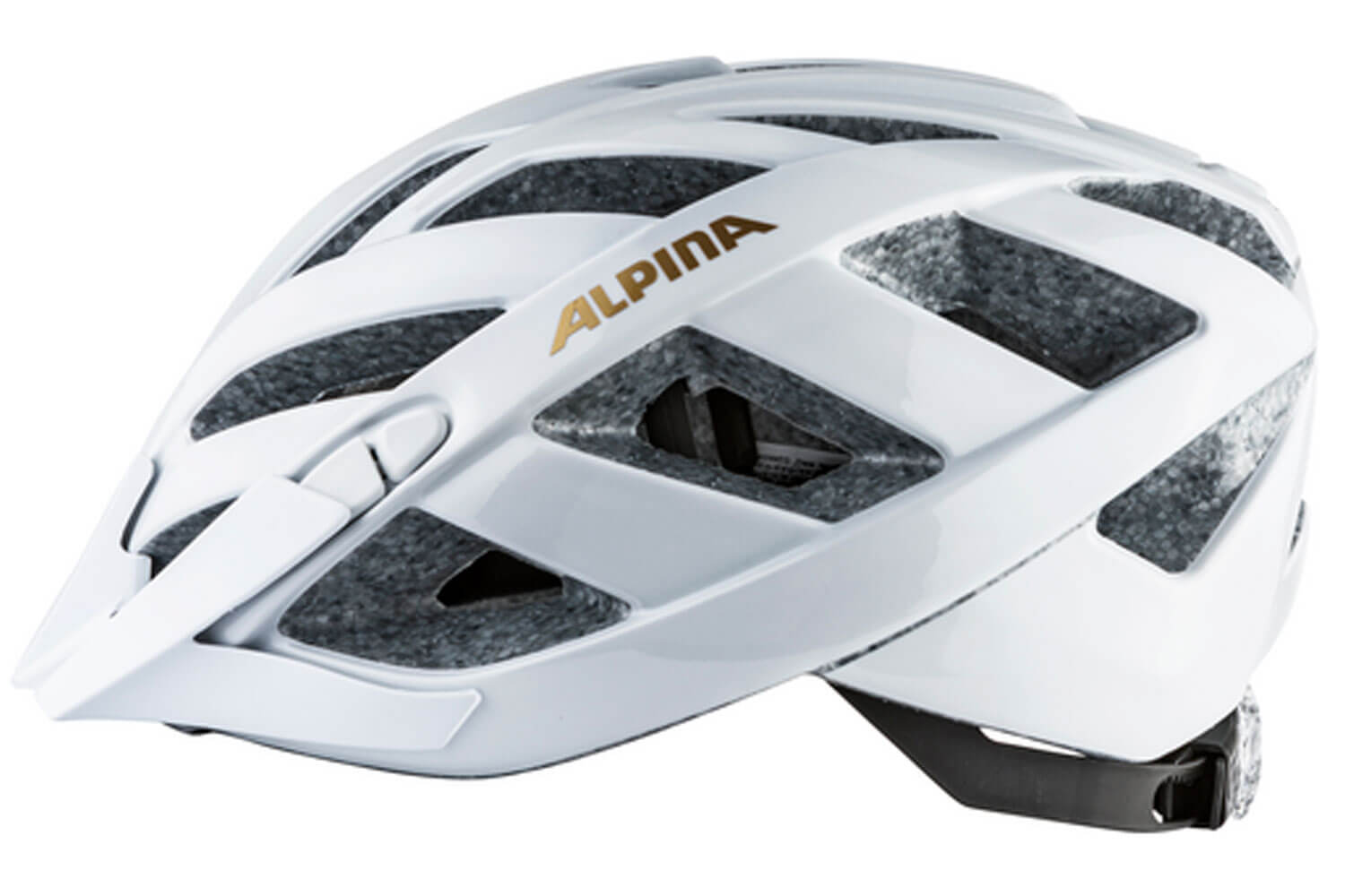 Alpina Panoma Classic  