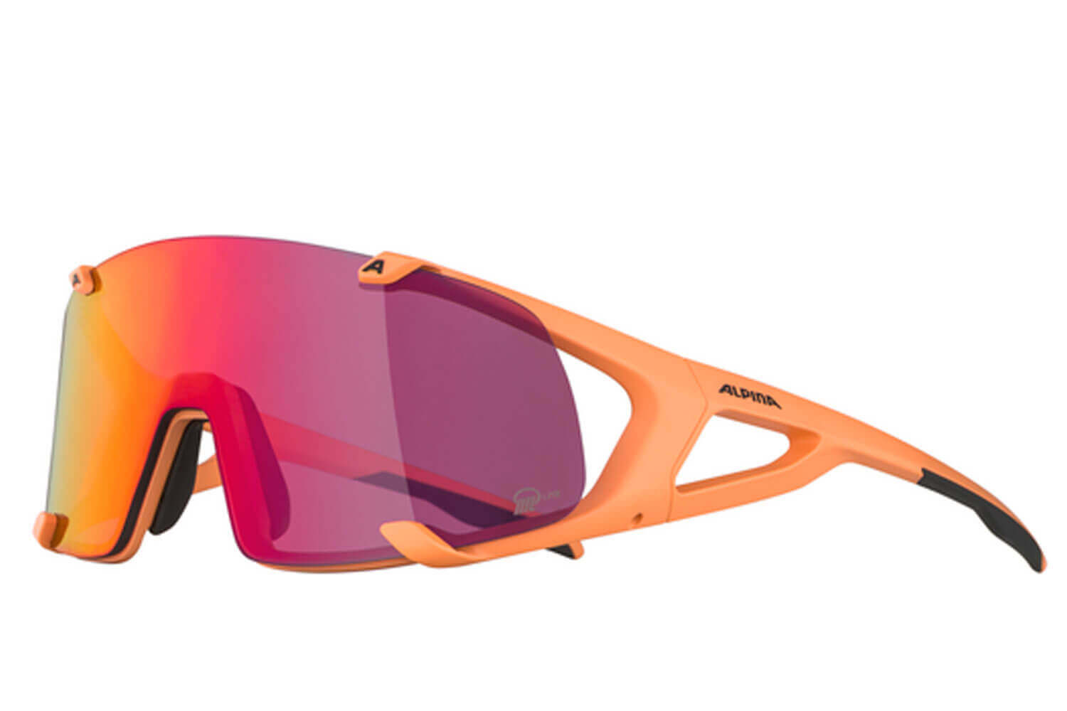 Alpina HAWKEYE S Q-LITE  