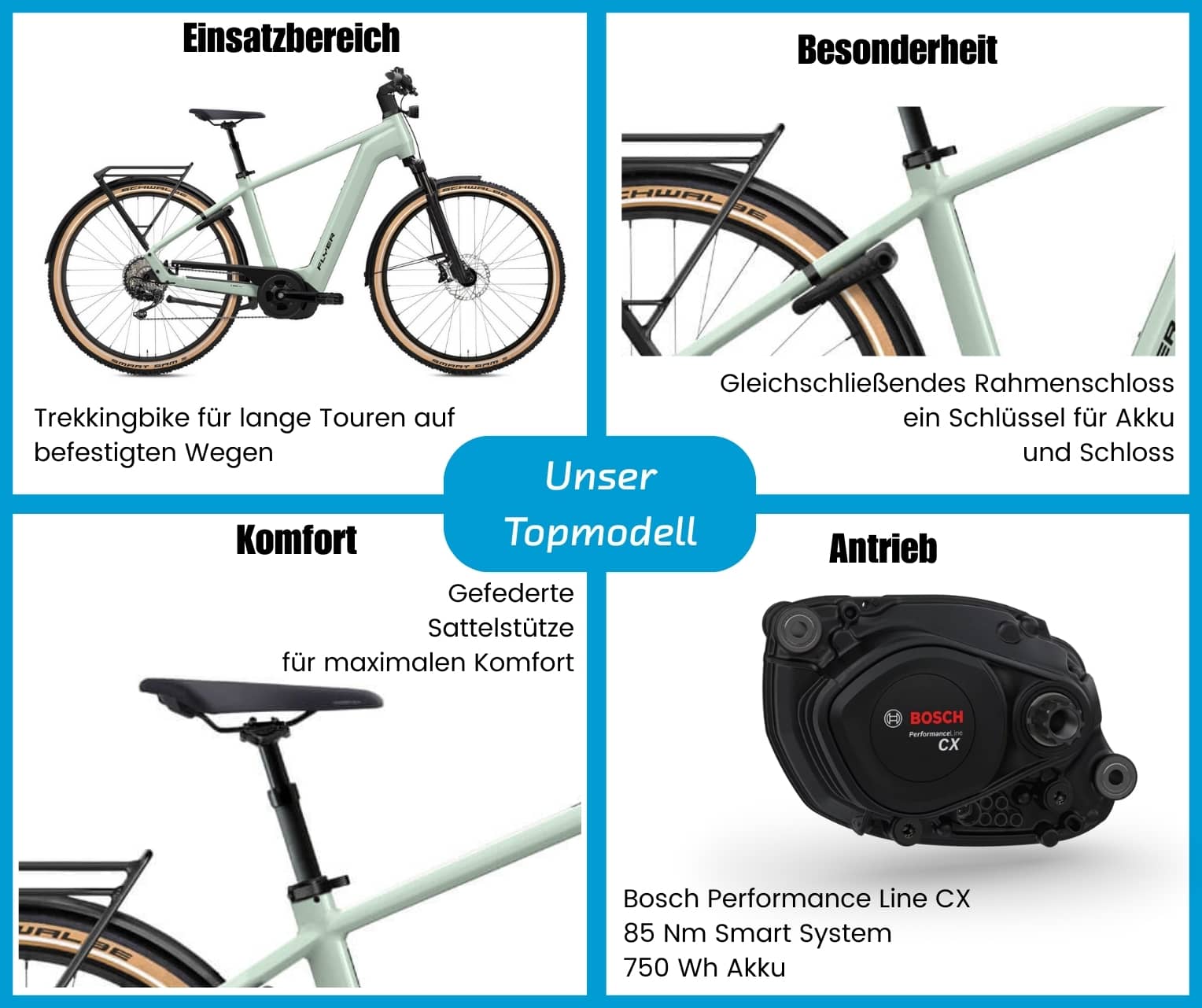 Flyer Gotour 7.12 XC Gents  