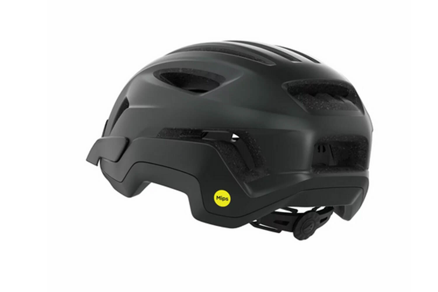 Alpina Paranus Mips Fahrradhelm  