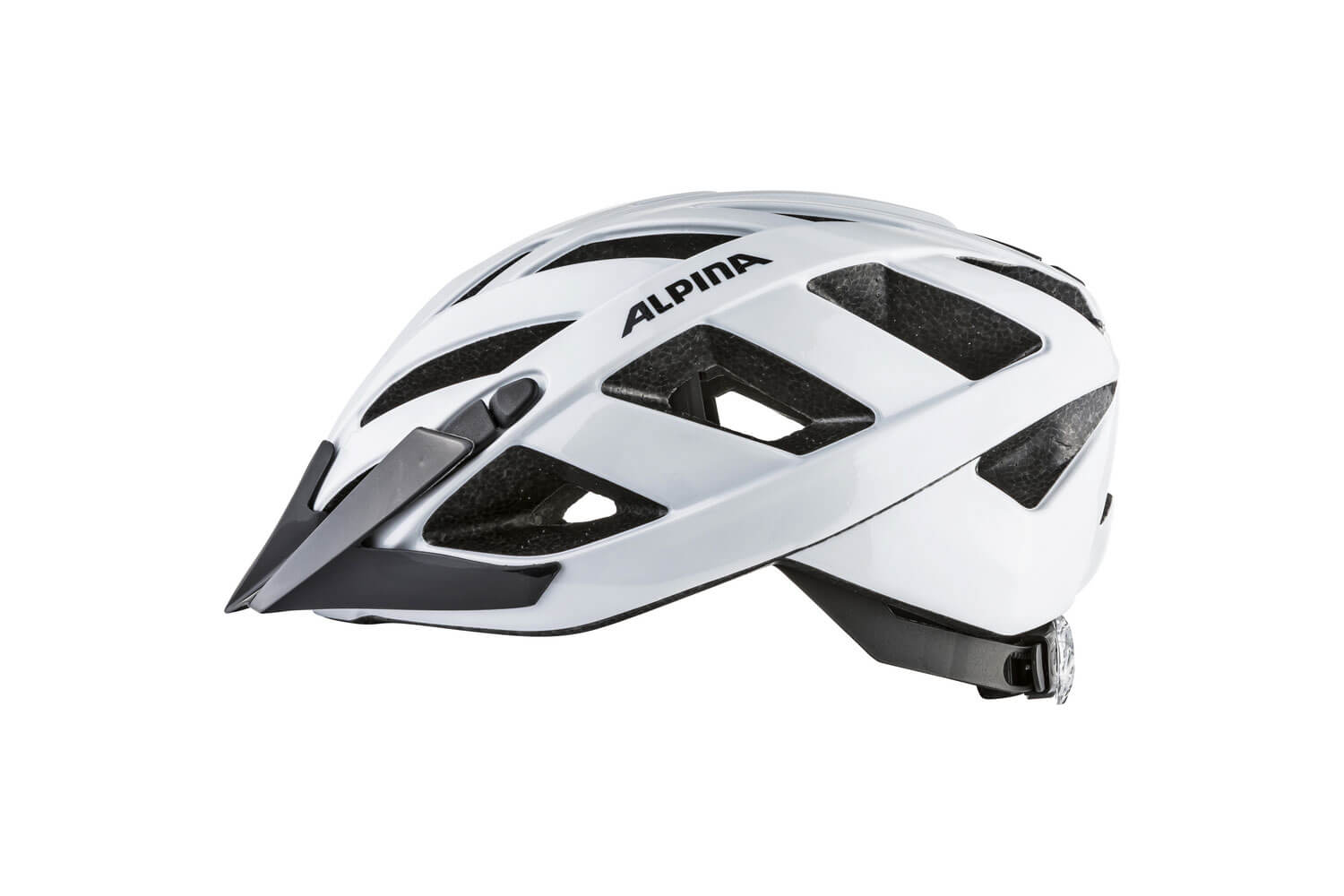 Alpina Panoma Classic  